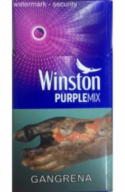 Winston Purple Mix