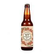 Dr.Stein Grapefruit ст 0.45 Пивной напиток
