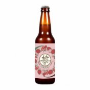 Dr.Stein Strawberry ст 0.45 Пивной напиток